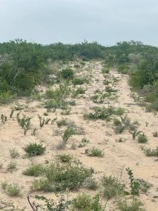 Pesqueria, Nuevo León 66655, Meksika