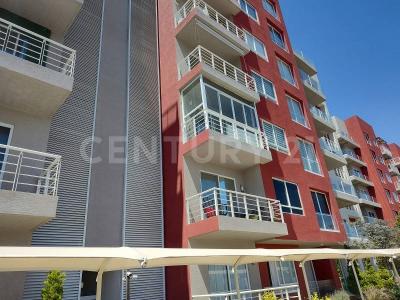 Ignacio Aldama Cond. Roble, Mz. 1, Lt. 1, Depto. 503,, Ecatepec De Morelos, Estado De Mexico 55070, Mexico