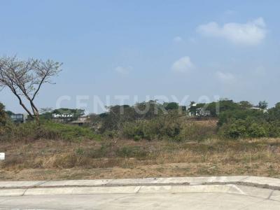 COBANO 30 Altozano L8 M29,, Cuauhtemoc, ولاية كوليما 28530, المكسيك
