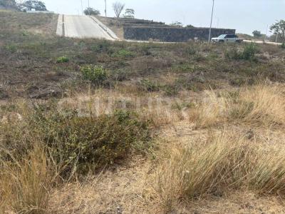 COBANO 30 Altozano L8 M29,, Cuauhtemoc, ولاية كوليما 28530, المكسيك