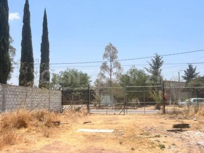 Palmas 27,, El Marqués, 克雷塔羅 76249, 墨西哥