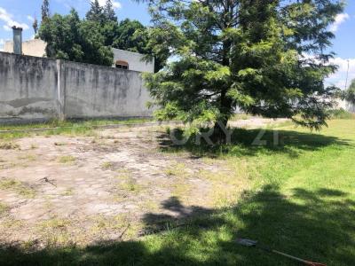 19 poniente 0,, San Andrés Cholula, 푸에블라 72810, 멕시코