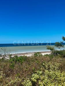 MINA DE ORO 2,, Dzidzantun, 유카탄 97504, 멕시코