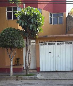 Isla Chipre Mz 932 Lte 14 No.6,, Ecatepec de Morelos, Estado De México 55070, Mexico