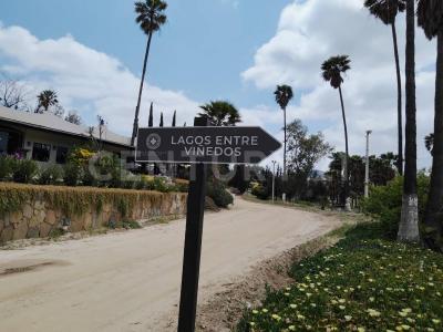 Km 10 3,, Tecate, Baja California 21530, Messico