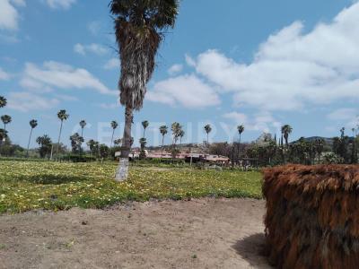 Km 10 3,, Tecate, Baja California 21530, Messico