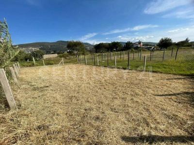 Avenida Morelos S/N,, San Antonio De La Cal, Oaxaca 71236, Mexico