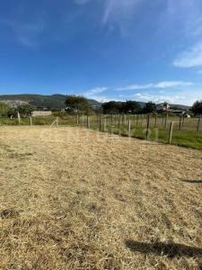 Avenida Morelos S/N,, San Antonio De La Cal, אואחאקה 71236, מקסיקו