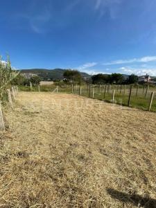 Avenida Morelos S/N,, San Antonio De La Cal, אואחאקה 71236, מקסיקו