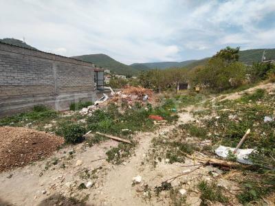 Santa Cruz Amilpas S/N,, Santa Cruz Amilpas, Оахака 71226, Мексика