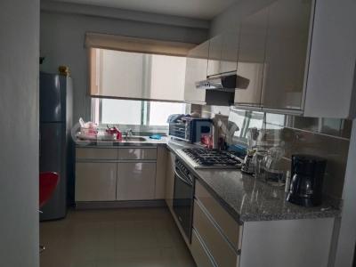 Cuernavaca, Morelos 62440, México