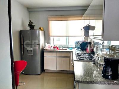 Cuernavaca, Morelos 62440, México