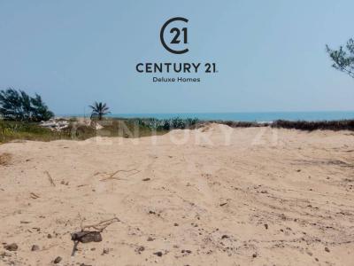 Playa Escondida s/n,, Ciudad Madero, タマウリパス 89506, メキシコ