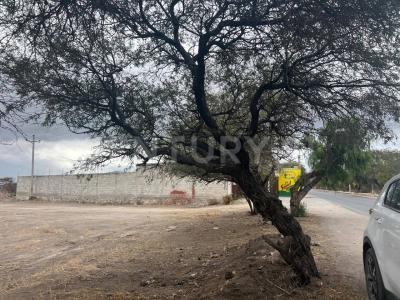 Ezequiel Montes, Querétaro 76657, México