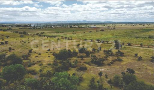 Aguascalientes, Aguascalientes 20389, Mexico