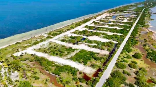 Dzidzantun, 尤卡坦 97504, 墨西哥