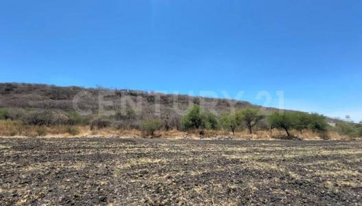 Pueblo Nuevo, ولاية غواناخواتو 36890, المكسيك