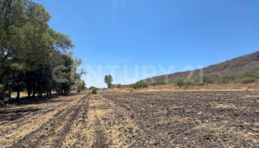 Pueblo Nuevo, ولاية غواناخواتو 36890, المكسيك