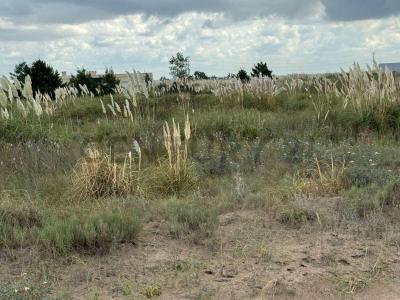 Km 427 Ruta Provincial 11 , Villa Gesell, Buenos Aires Costa Atlántica B7165, ארגנטינה