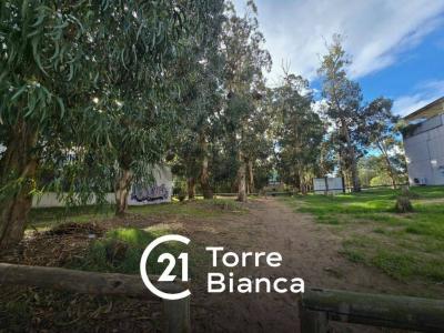 Pinamar, Buenos Aires Costa Atlántica 7167, Argentine