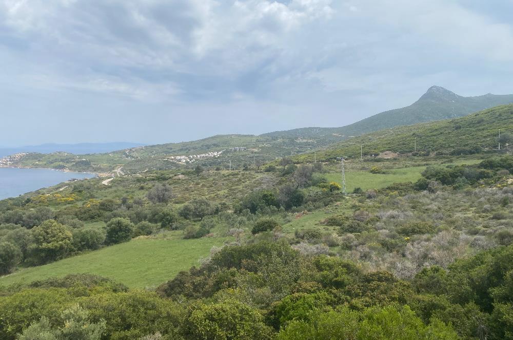 Izmir, Turquie