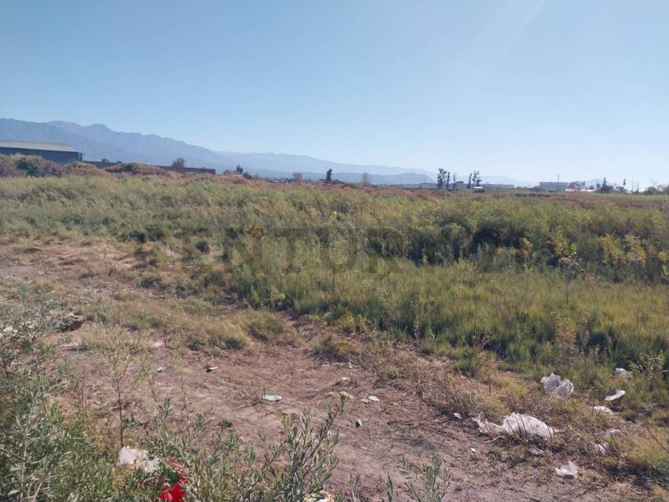 Las Heras, Mendoza 5539, Argentina