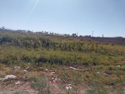 Las Heras, Mendoza 5539, Argentina