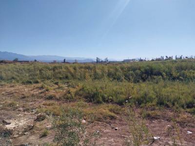 Las Heras, Mendoza 5539, Argentina
