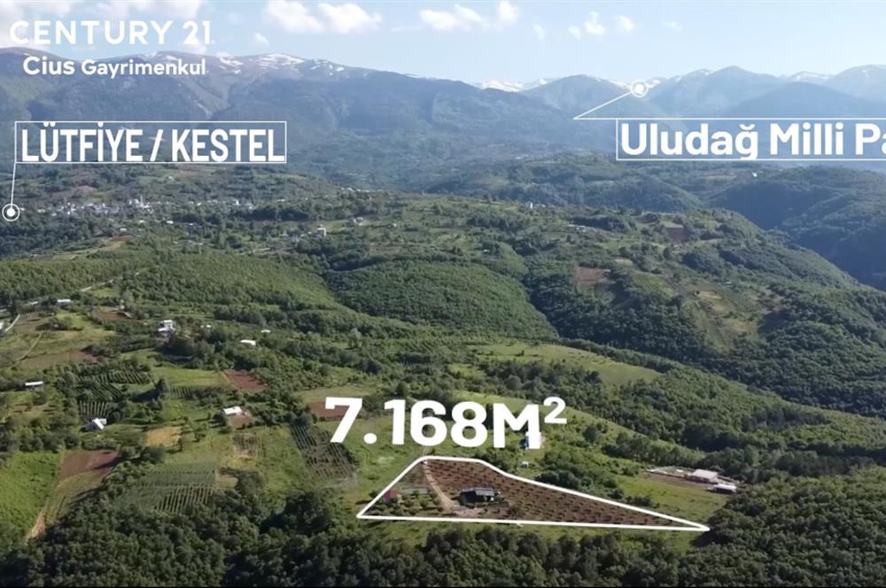 Bursa, Türkei