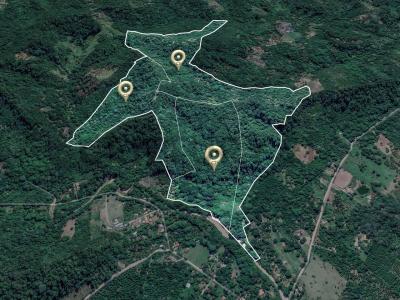 Porongo, Quebrada 067 , Oeste, Santa Cruz 00001, Bolívia