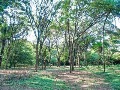 Porongo, Quebrada 067 , Oeste, Santa Cruz 00001, Bolivia