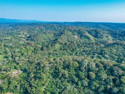 Porongo, La Colina 068 , Oeste, Santa Cruz 00001, Bolívia
