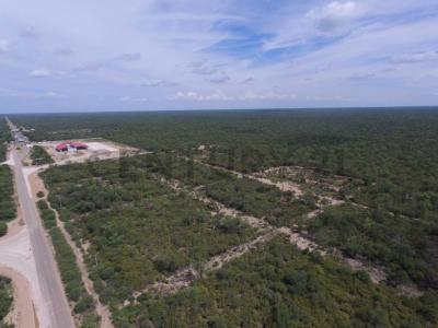 Villamontes, Tarija 00001, Bolivia