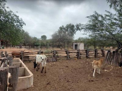 Sucre, Chuquisaca 0000, Bolivia