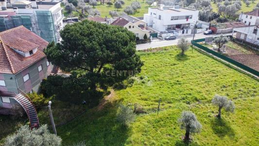 Pombal, Leiria 3100-545, Portugalia