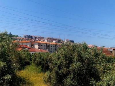 Pombal, Leiria 3100-545, Portugal