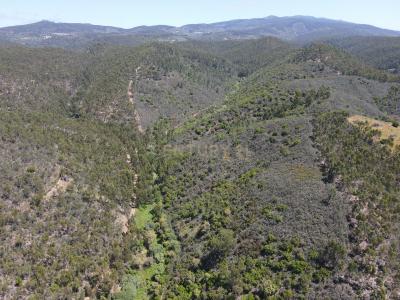 Monchique, Faro 8550-100, Portugal