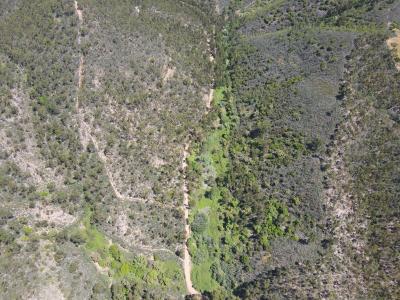 Monchique, فارو 8550, البرتغال