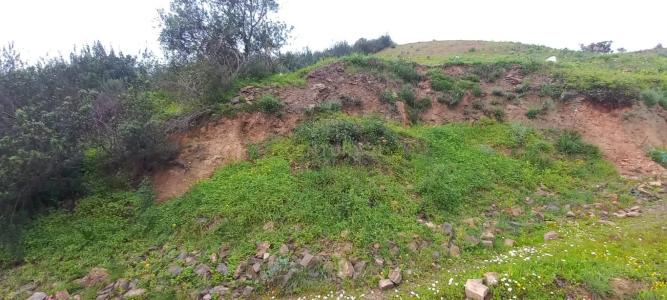 Monchique, فارو 8550, البرتغال