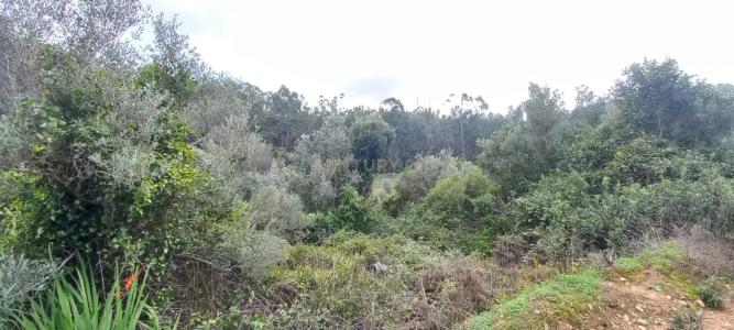 Monchique, فارو 8550, البرتغال