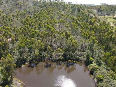 Monchique, 파로 8550, 포르투갈