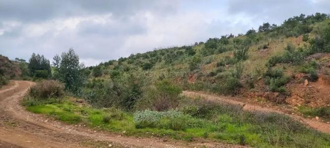 Monchique, 파로 8550-100, 포르투갈