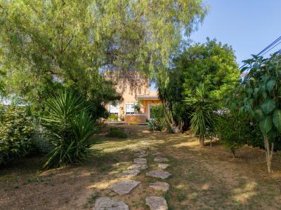 Tavira, Faro 8800-513, Portugal