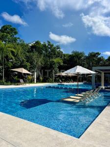 Puerto Morelos, 金塔纳罗奥 77580, 墨西哥