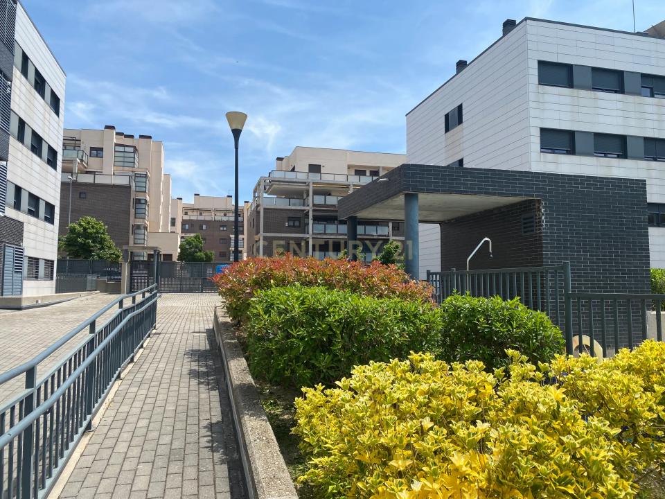 Madrid, Comunidad De Madrid 28770, Espanha