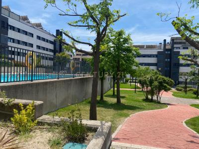 Madrid, Comunidad De Madrid 28770, Espanha