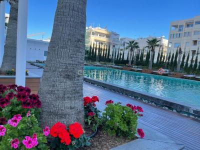 Limassol City, 3107, Cypr