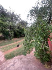Calle Mbocayaty, entre Estudiantes Capiateños y Pycasu , Capiatá, Central 00001, Le Paraguay