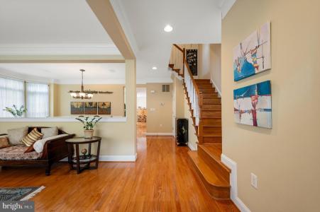 429 Park Avenue, Falls Church, Virginia 22046, USA