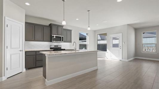 11309 ORCHARD LN, Justin, Teksas 76247, USA
